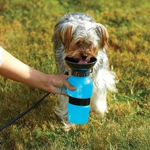 Bebedero Termo Portatil Azul Agua Para Perros